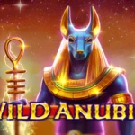 Wild Anubis