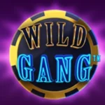 Wild Gang