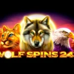 Wolf Spins 243