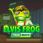 10 Free Spins on ‘Elvis Frog’ at Katsubet bonus code