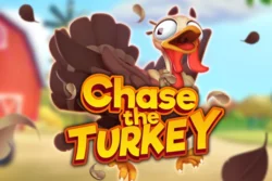 50 Free Spins on ‘Chase the Turkey’ at Miami Club