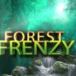 Forest Frenzy