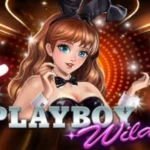 Playboy Wilds
