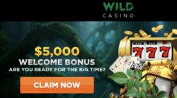 $5,000 Welcome Bonus at Wild Casino