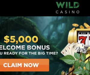 $5,000 Welcome Bonus at Wild Casino