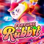 Fortune Rabbit