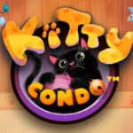 Kitty Condo
