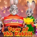 Year of the Rabbit