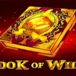 Book of Wild
