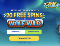 20 Free Spins at Lucky Treasure