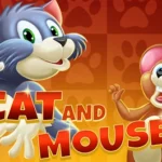 Cat and Mouse
