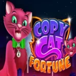 Copy Cat Fortune