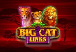 New Slot: 25 Free Spins on ‘Big Cat Links’ at Slotocash