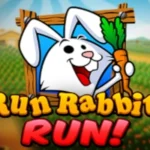Run Rabbit Run