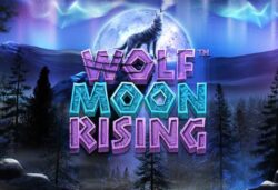 30 Free Spins on ‘Wolf Moon Rising’ at Eddy Vegas