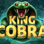 King Cobra