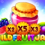 Wild Fruit Jam