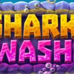 Clean up at the Shark Wash