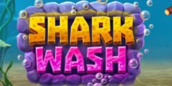 Clean up at the Shark Wash
