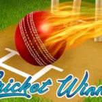 Cricket Winner