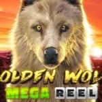 Golden Wolf Mega Reel