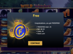25 Free Spins at Booi Casino