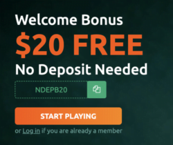 Get your winning on at Play Croco Casino