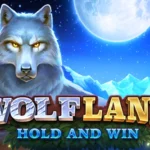 Wolf Land: Hold and Win