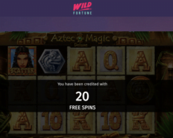 20 Free Spins at Wild Fortune