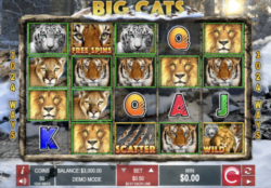 20 Free Spins on ‘Big Cats’ at Miami Club Casino