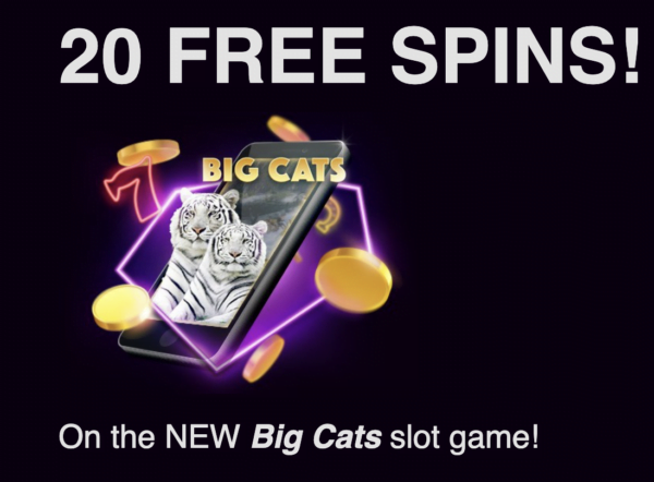 no deposit free spins