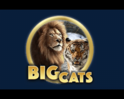 20 Free Spins on ‘Big Cats’ at Liberty Slots