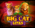 big cat links