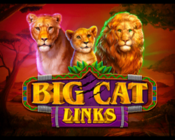 130 Free Spins on ‘Big Cat Links’ at Brango