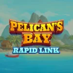 Pelican’s Bay Rapid Link