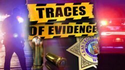 35 Free Spins on ‘Traces of Evidence’ at Lotus Asia