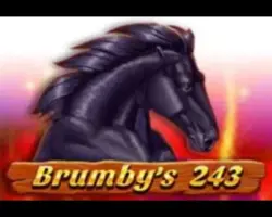 40 Free Spins on ‘Brumby’s 243’ at Mirax Casino