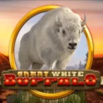 50 Free Spins on ‘Great White Buffalo’ at Grand Eagle bonus code