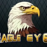 Eagle Eye