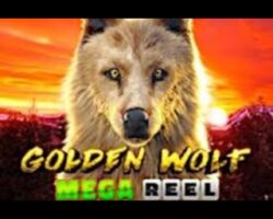 $15 Free Chip on ‘Golden Wolf’ at Desert Nights