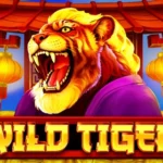 Wild Tiger