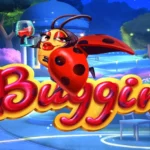 Buggin