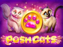 $35 Free Chip on ‘Posh Cats’ at LevelUp Casino