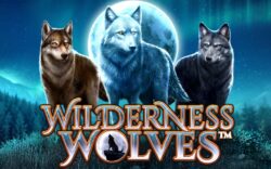 $15 Free Chip on ‘Wildnerness Wolves ‘ at Desert Nights