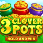 3 Clover Pots