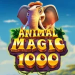 Animal Magic 1000