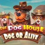 The Dog House – Dog or Alive