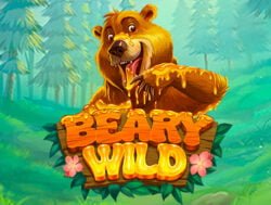 110 Free Spins on ‘Beary Wild’ at Mr.O