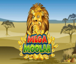 Mega Moolah makes a mega €6.6 million winner!