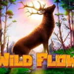 Wild Flow